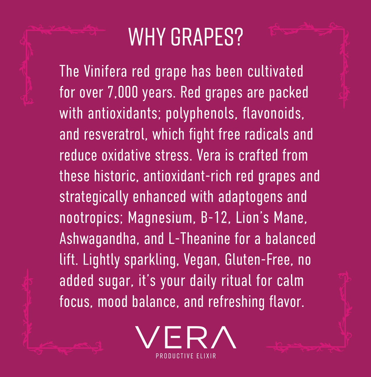 The Vera Variety Pack