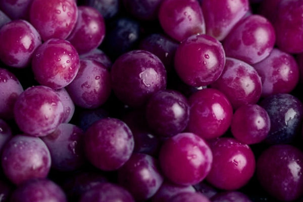 RED GRAPE POLYPHENOLS