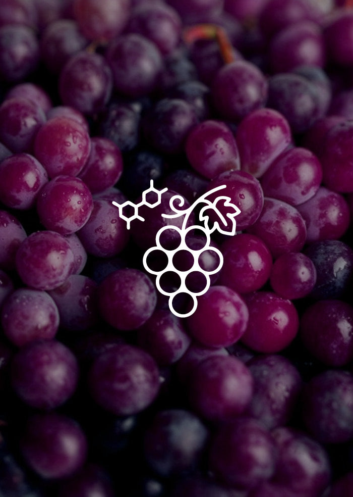 Red Grape (Polyphenols)